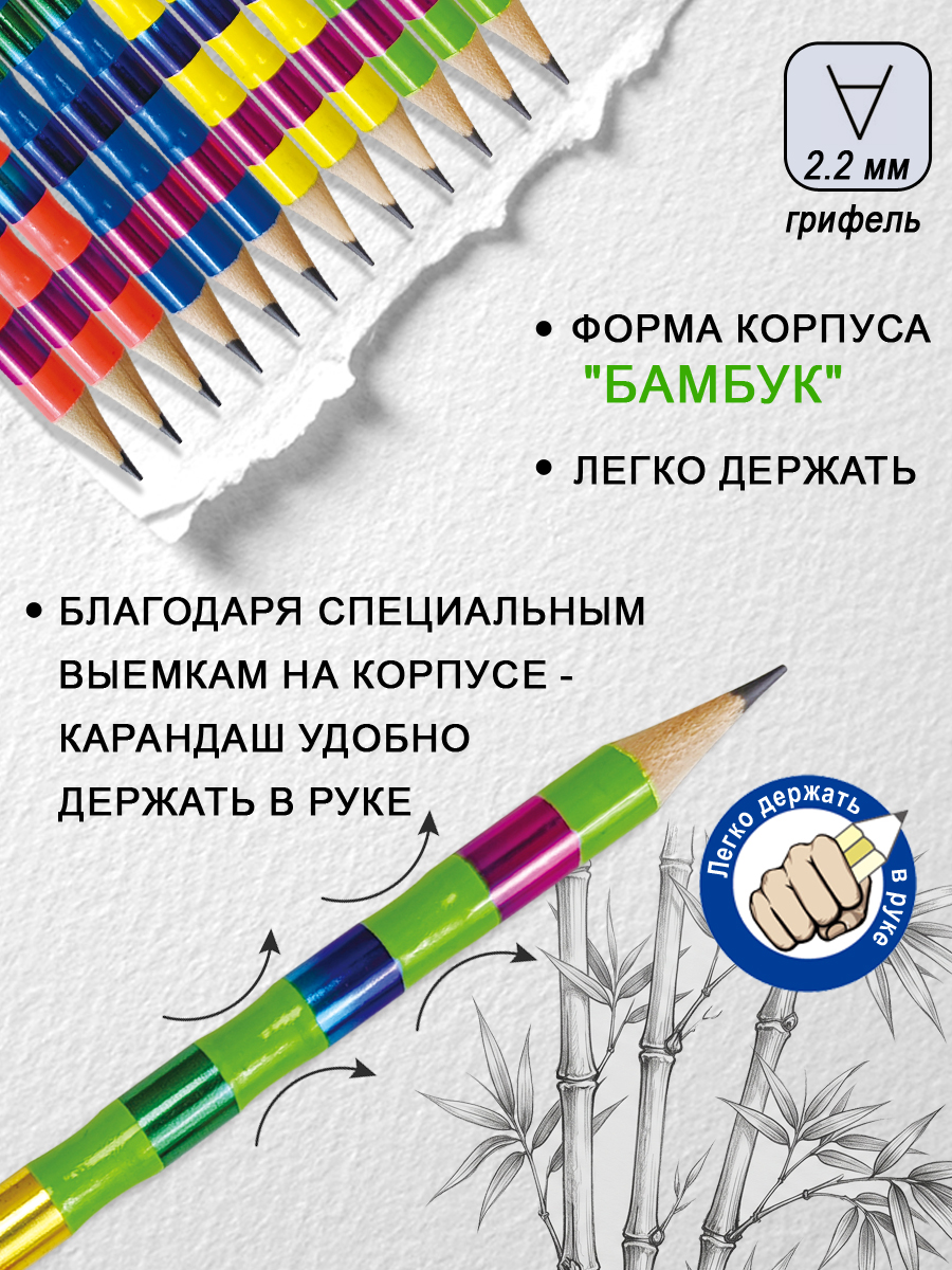 Карандаши чернографитные ACMELIAE 12 шт. - фото 2