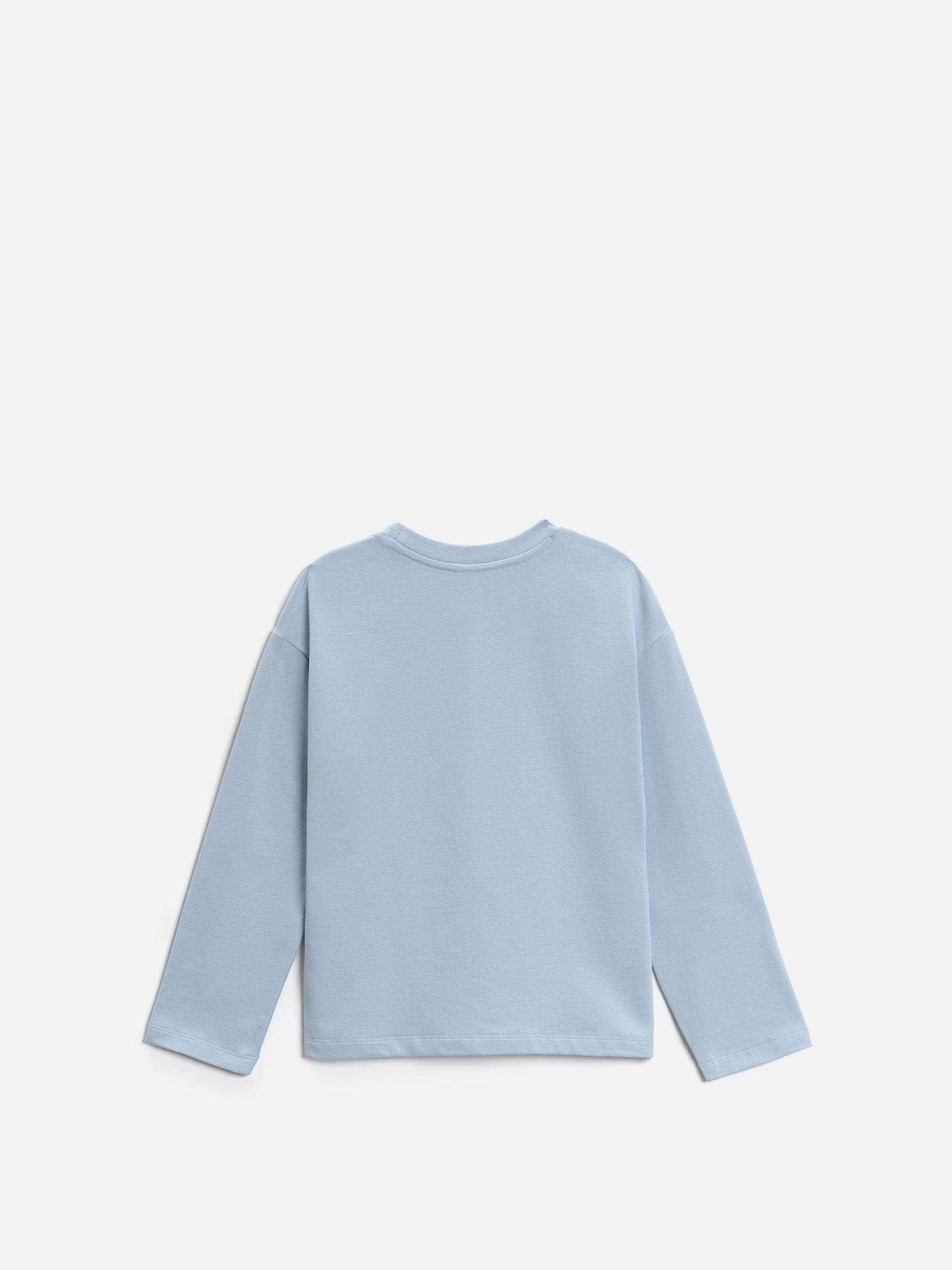 Лонгслив Acoola 20220150119_0092623 - фото 5