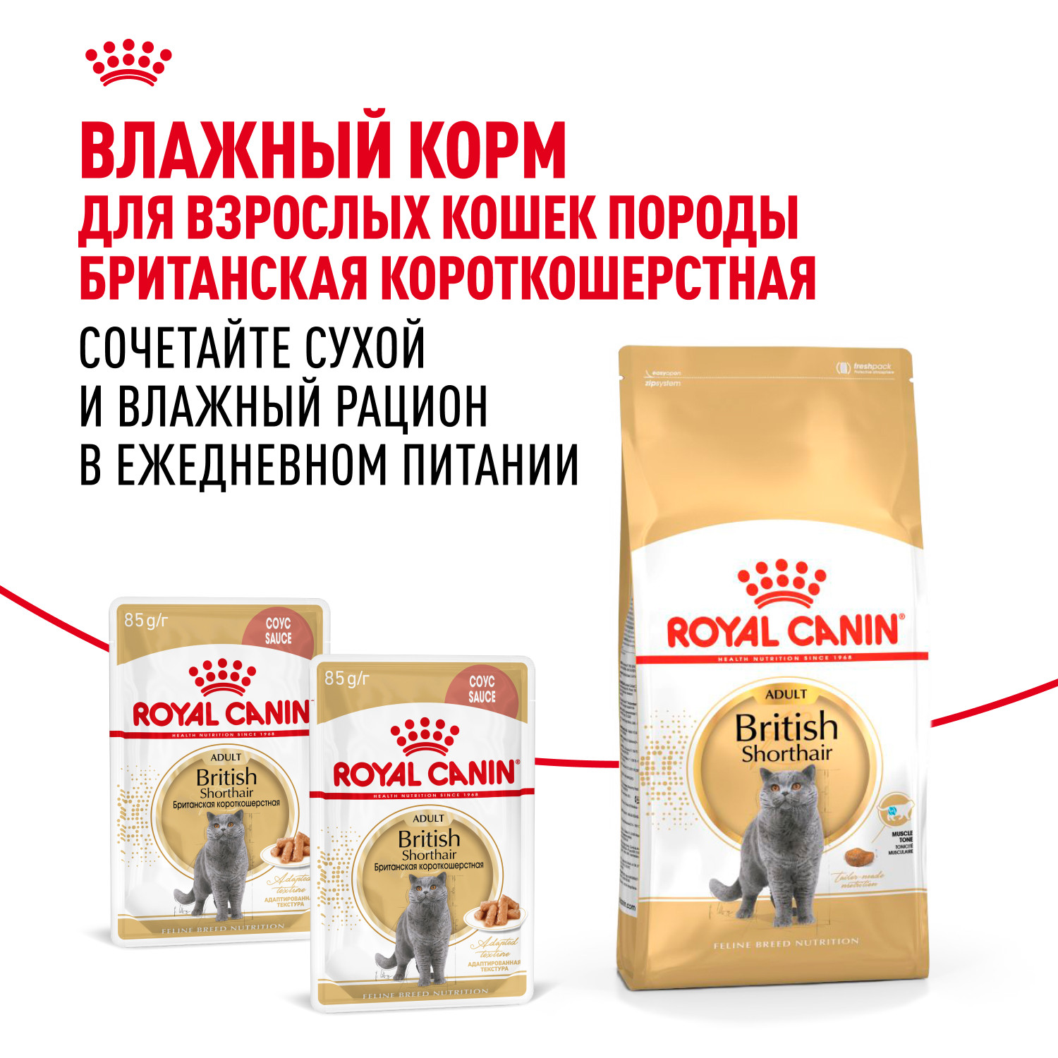 Корм сухой для кошек ROYAL CANIN British Shorthair 4кг британской короткошерстной породы - фото 8