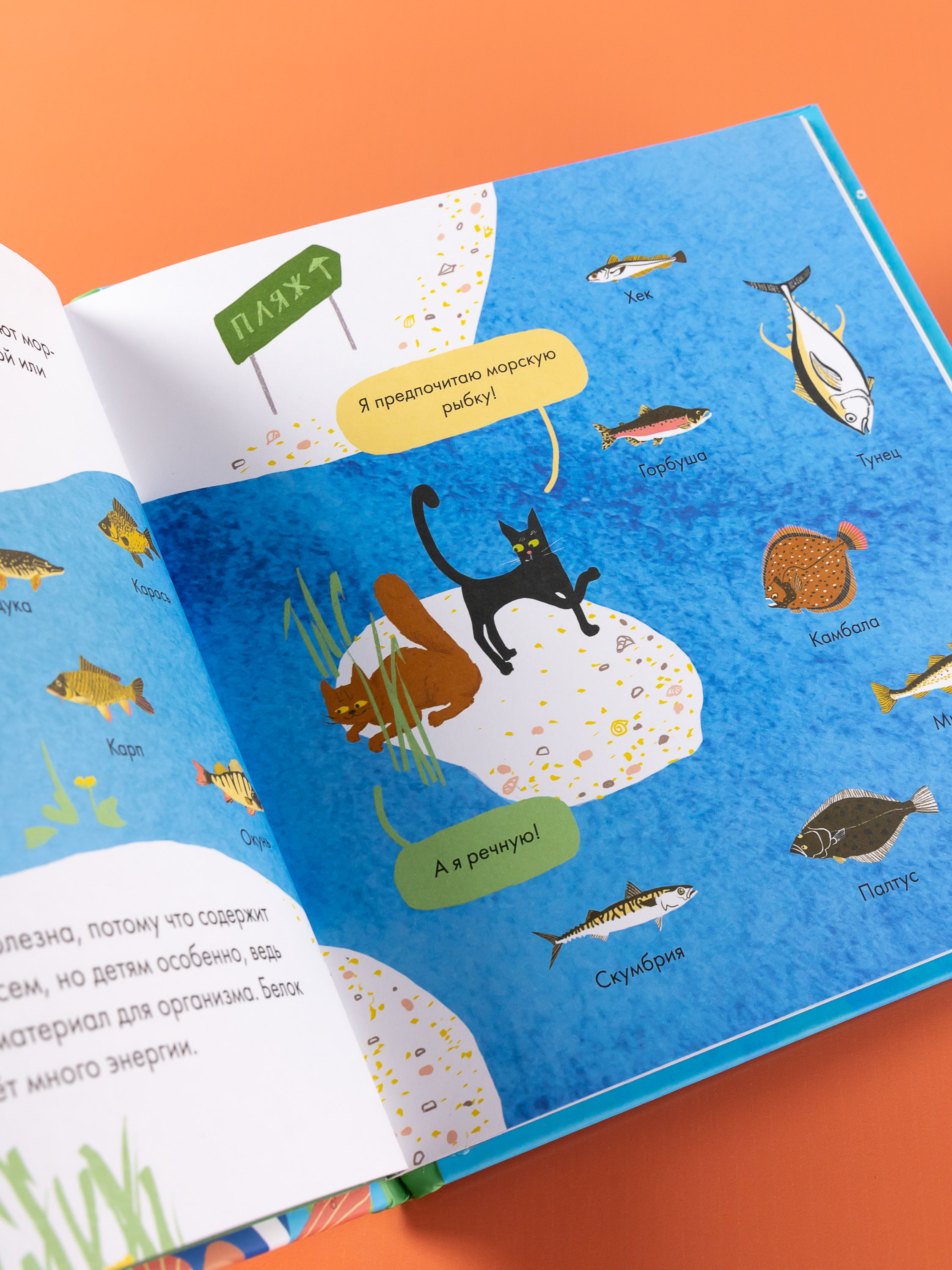 Книга Альпина. Дети Я знаю что я ем Рыба - фото 12