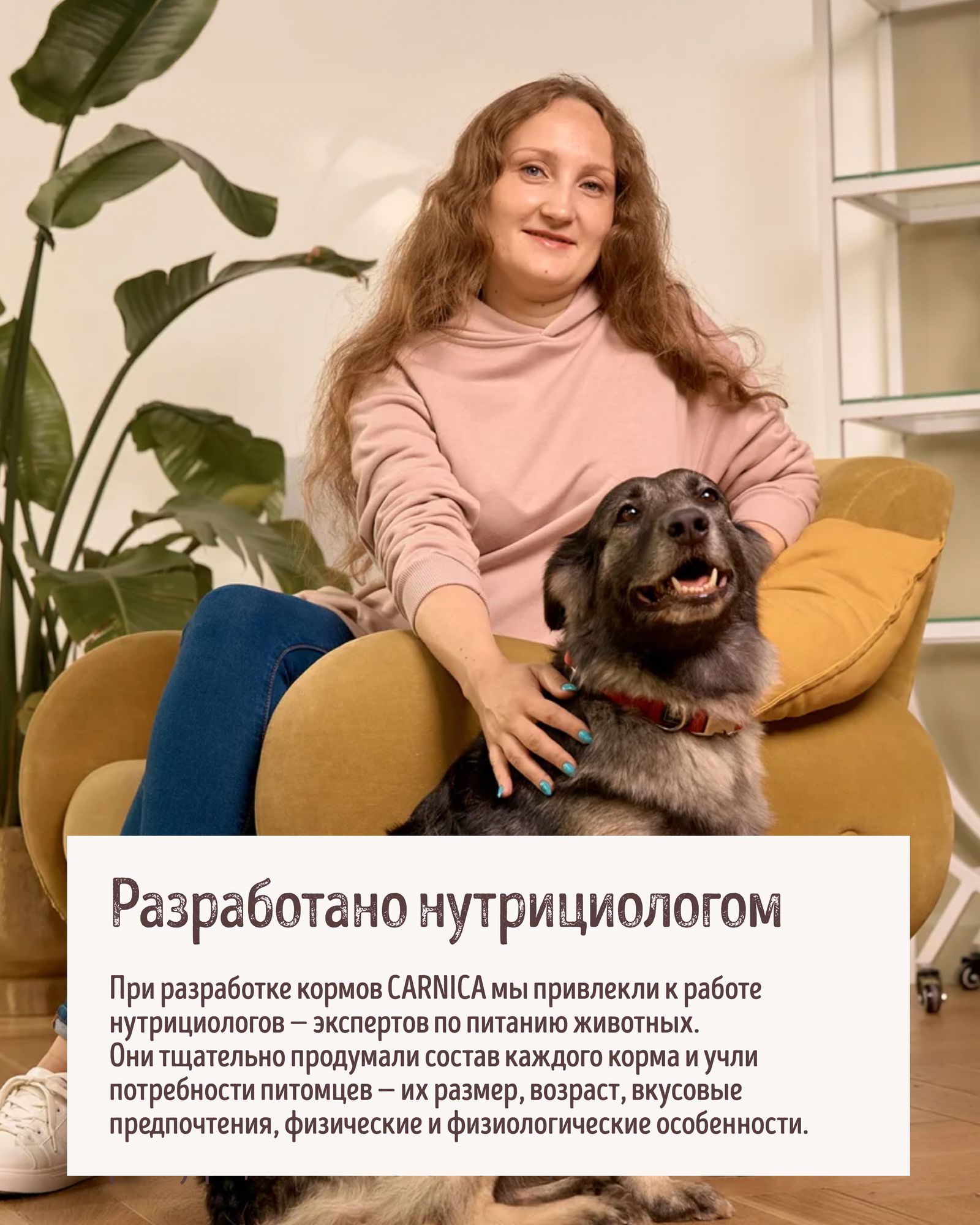 Корм для собак CARNICA полнорационный паштет из ягненка с яблоком консервированный 200г - фото 5