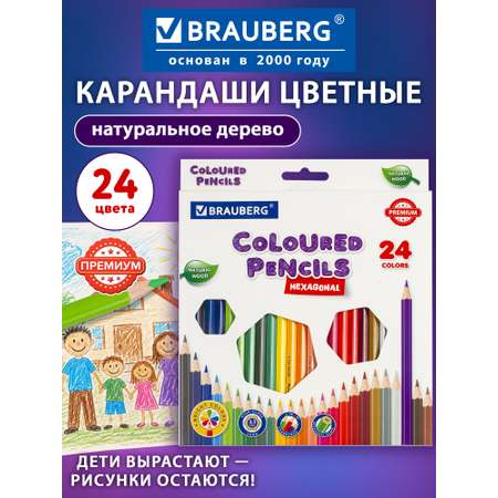 Карандаши цветные Brauberg 24 шт.
