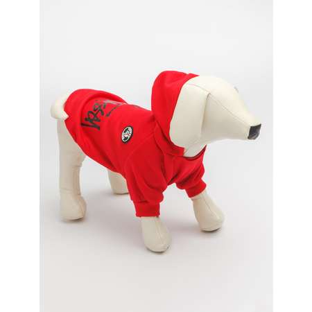 Толстовка для собак PIFPAF DOG