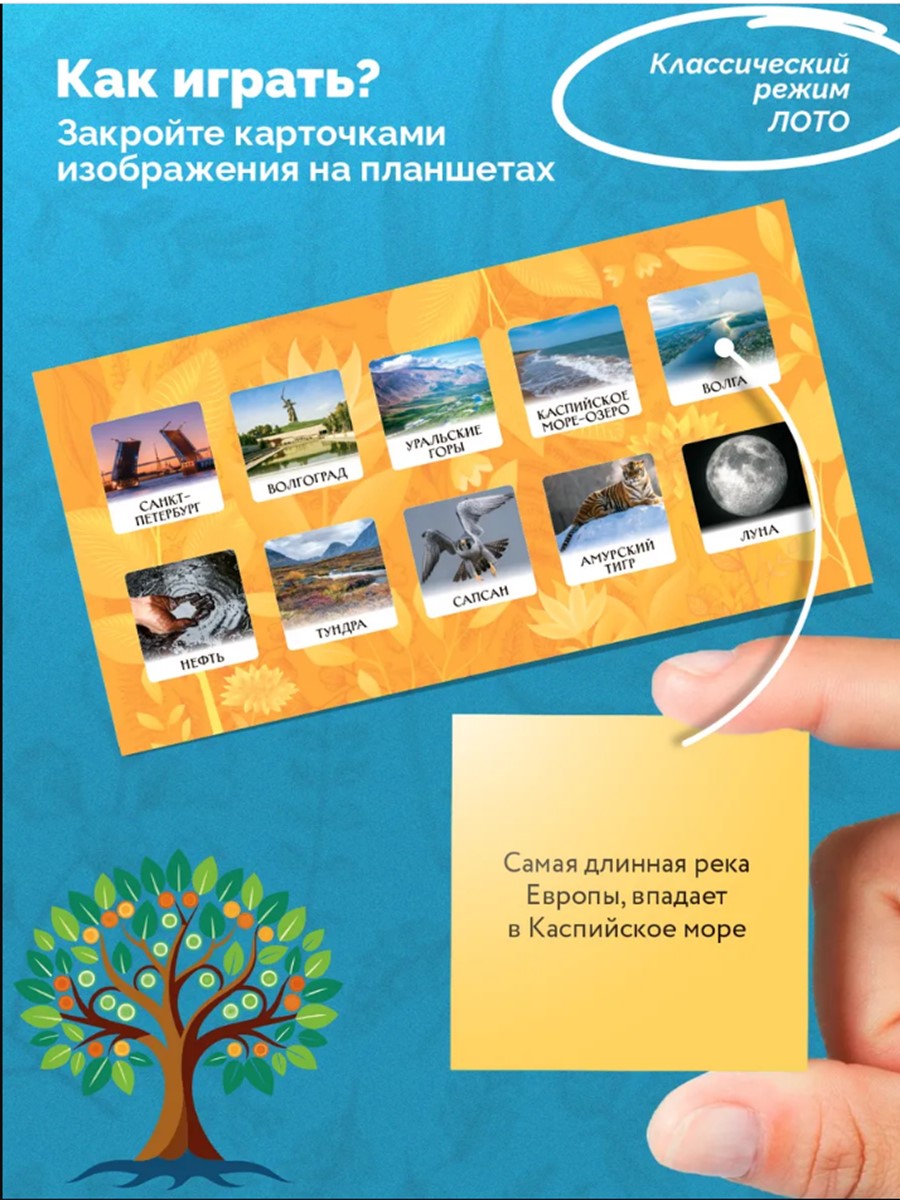 Настольная игра Игротека Природа и человек - фото 3