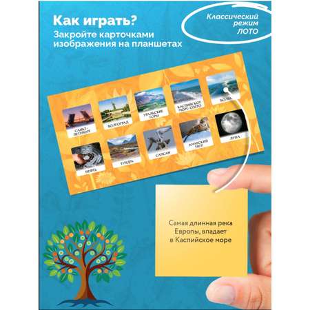 Настольная игра Игротека Природа и человек