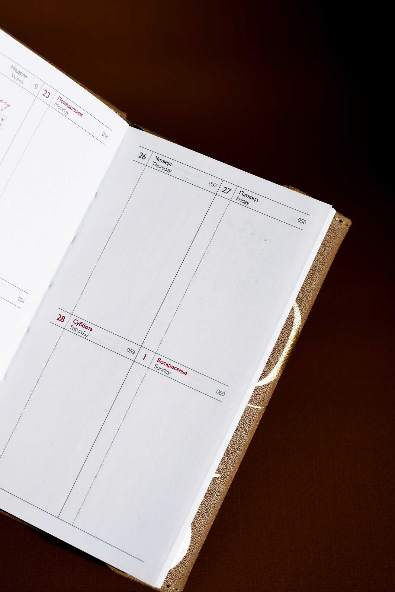 Ежедневник Феникс + ESCALADA 64 лист. - фото 11