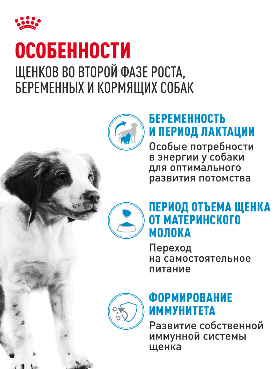 Корм для щенков беременных и кормящих Royal Canin 4кг Medium Starter средних сухой - фото 2