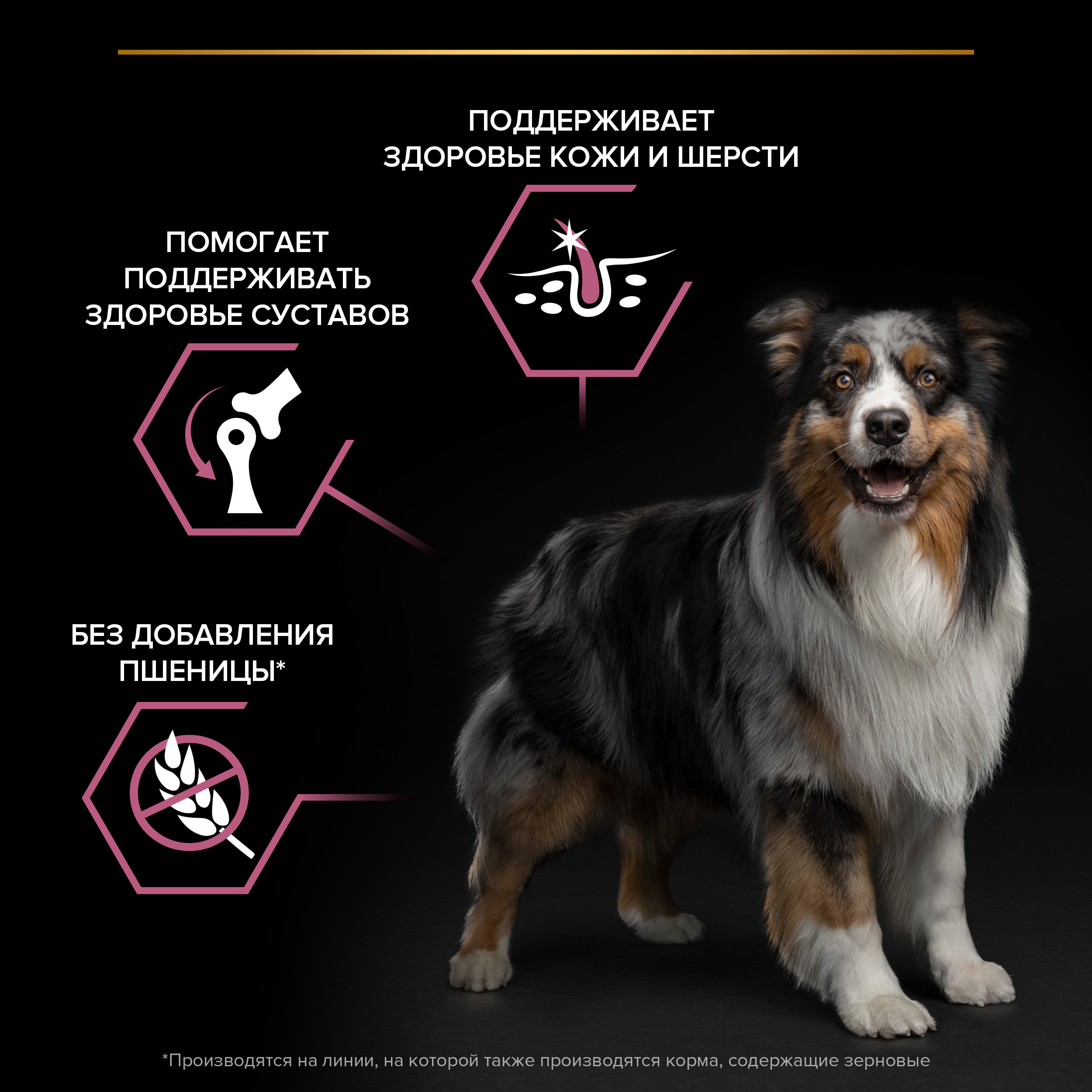 Корм сухой для собак PRO PLAN SENSITIVE SKIN 14 кг с лососем для средних пород - фото 4