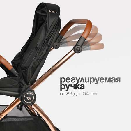 Коляска 2в1 Tomix Walker lux черный