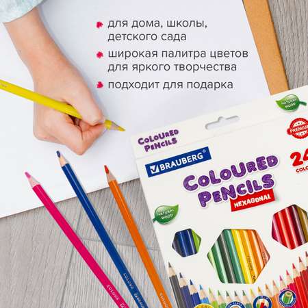Карандаши цветные Brauberg 24 шт.