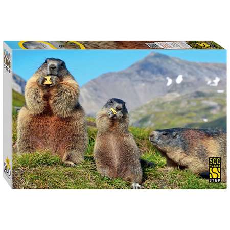 Пазл Step Puzzle 500 элементов классический в ассортименте