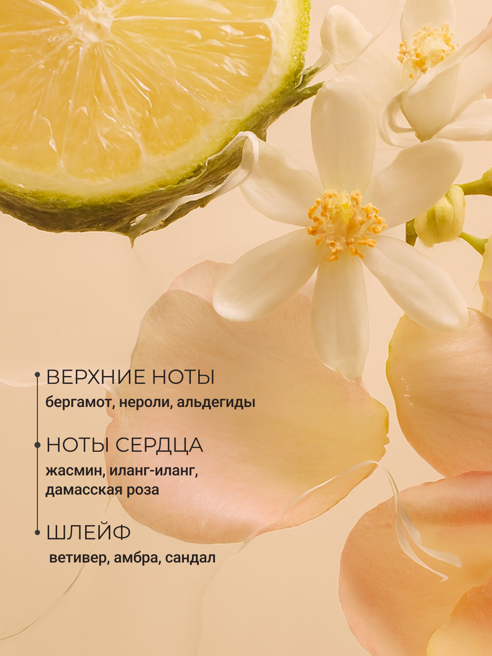 Крем Zeitun Парфюмированный с жасмином 200 мл - фото 4