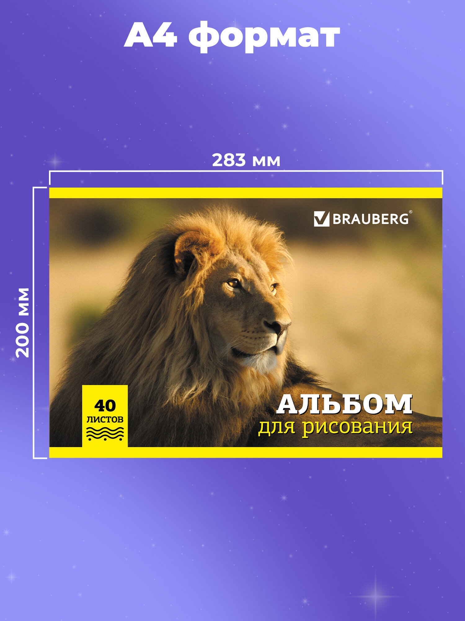 Альбом Brauberg А4 40 лист. 4 шт. - фото 5