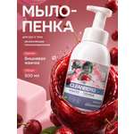 Мыло жидкое Cleanberg 1 шт. 550 г 0.5 мл