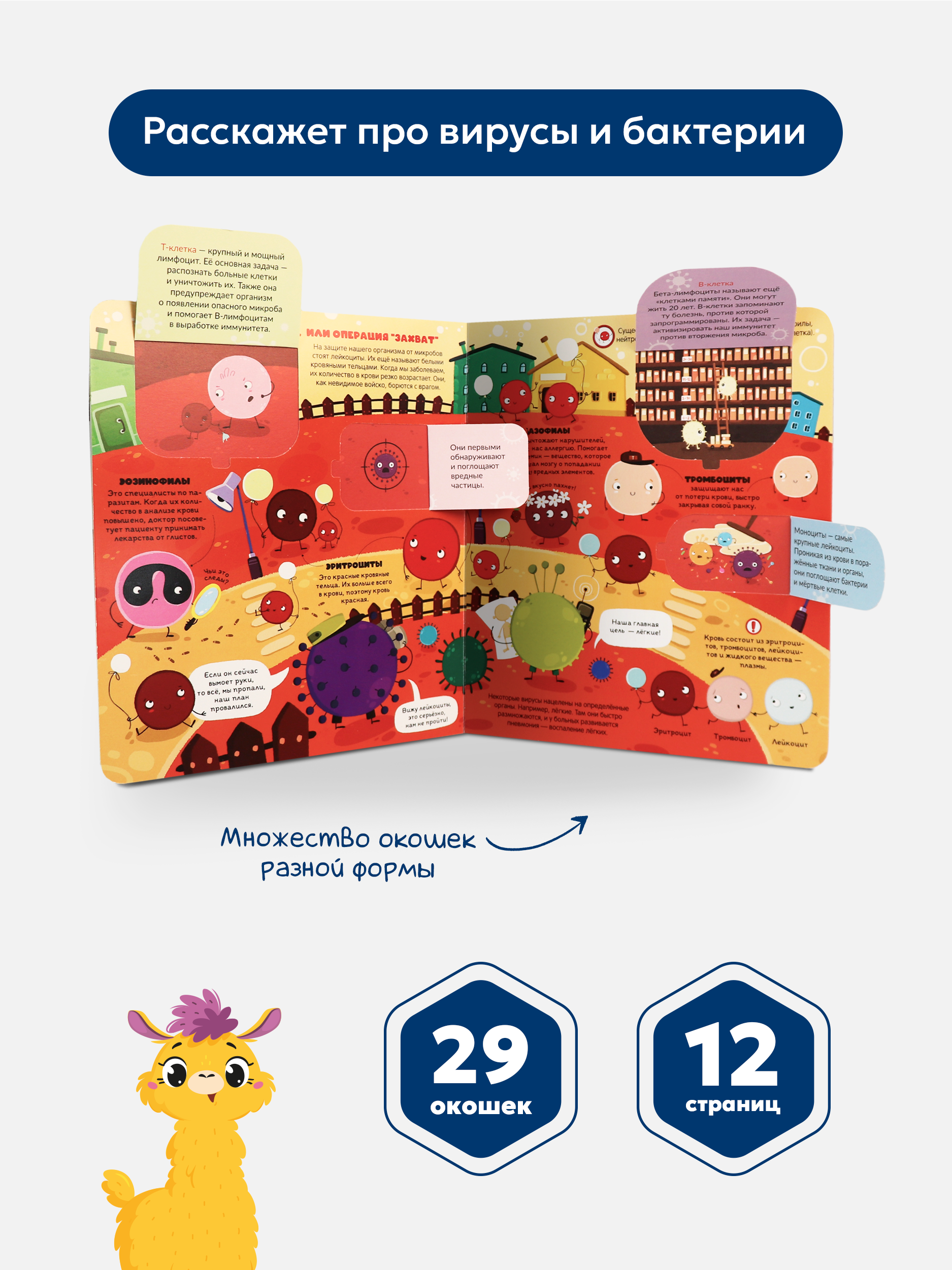 Набор книг с окошками Malamalama Вирусы и бактерии и иммунитет энциклопедии для детей - фото 3