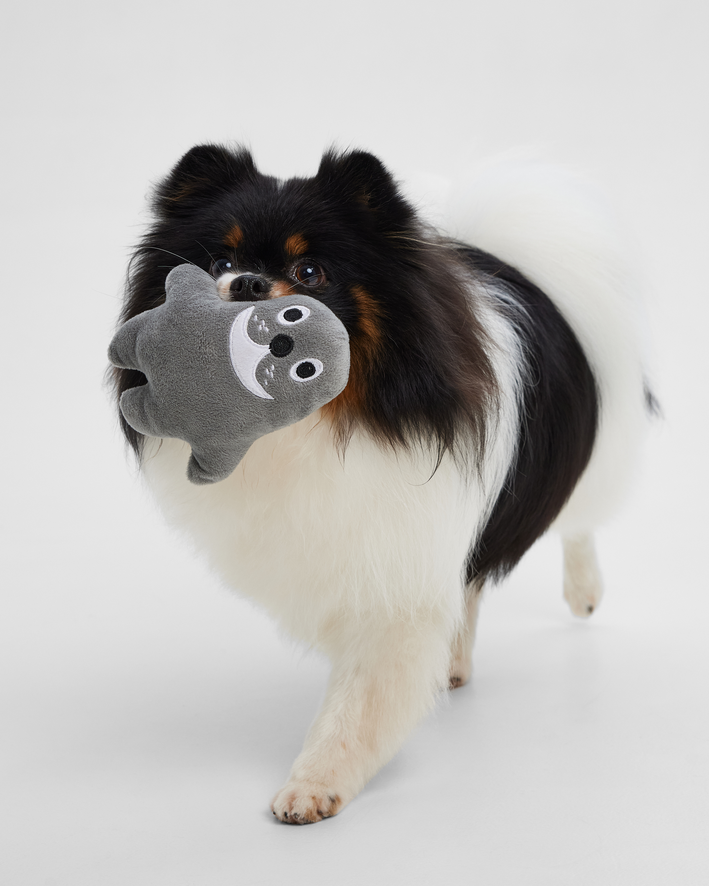 Игрушка для собак Barbaks Морской котик Броня пищит 14*12.5см - фото 1