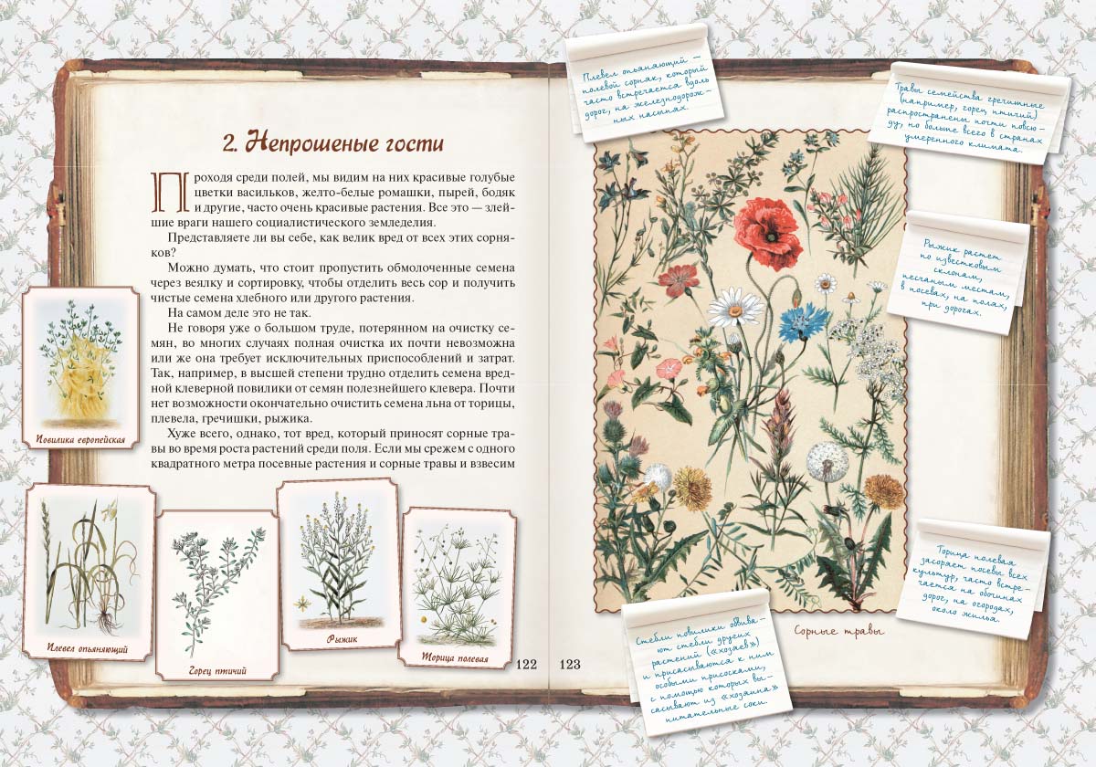 Книга Белый город Занимательная ботаника - фото 5