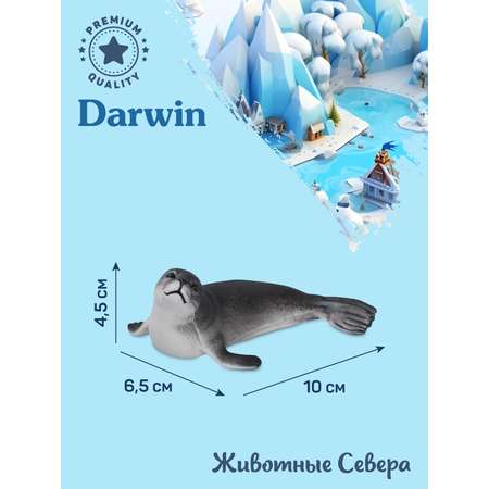 Фигурка DARWIN Животные Длинномордый тюлень