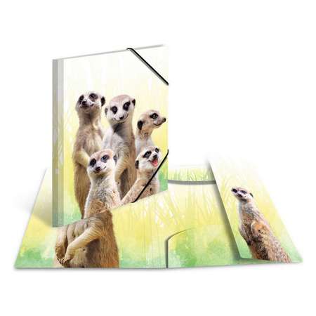 Папка для тетрадей HERMA А4