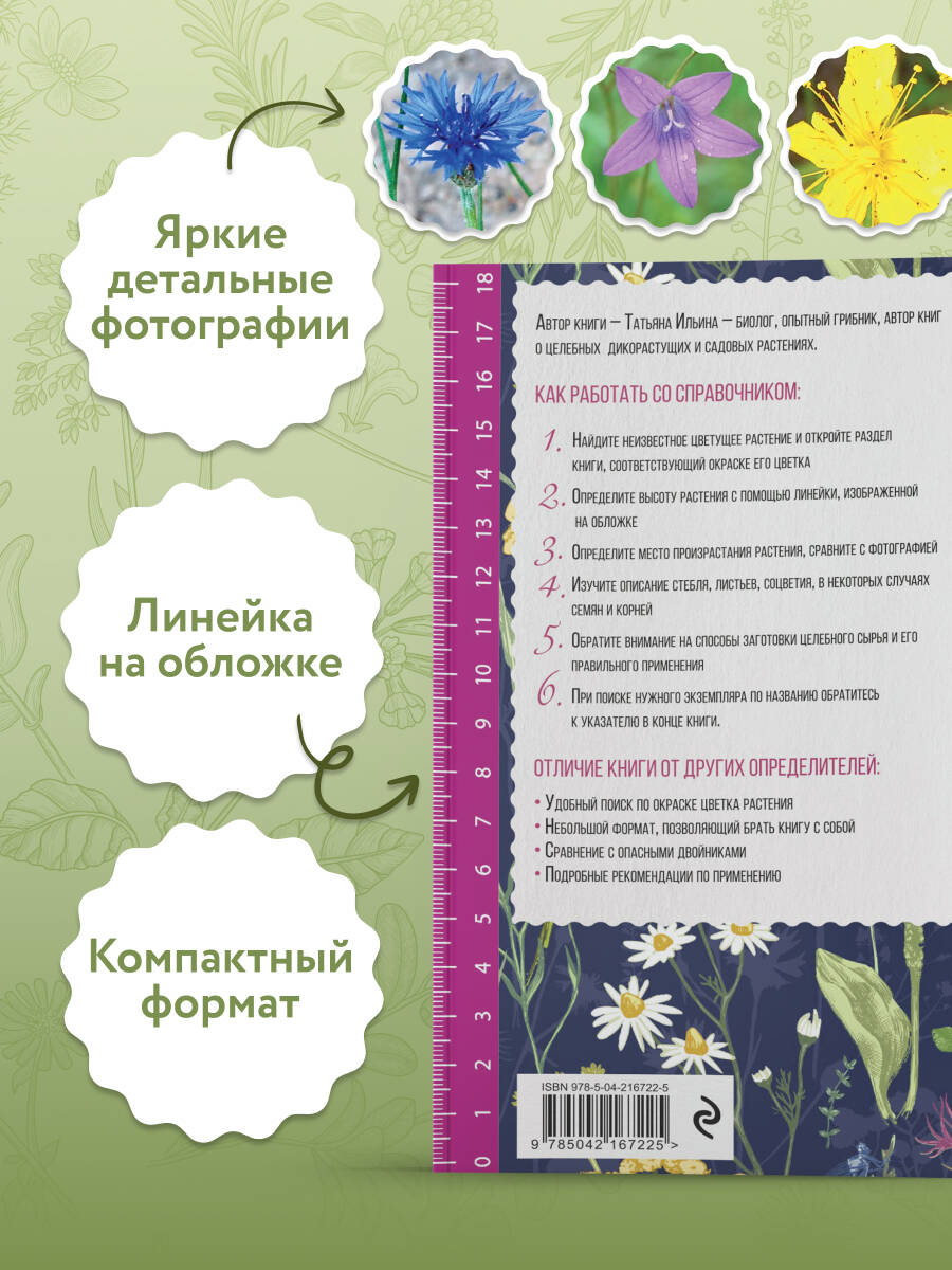 Книга Эксмо Лечебные травы. Иллюстрированный справочник-определитель - фото 4