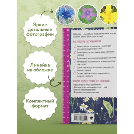 Книга Эксмо Лечебные травы. Иллюстрированный справочник-определитель