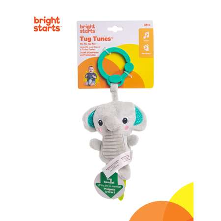 Игрушка Bright Starts подвеска