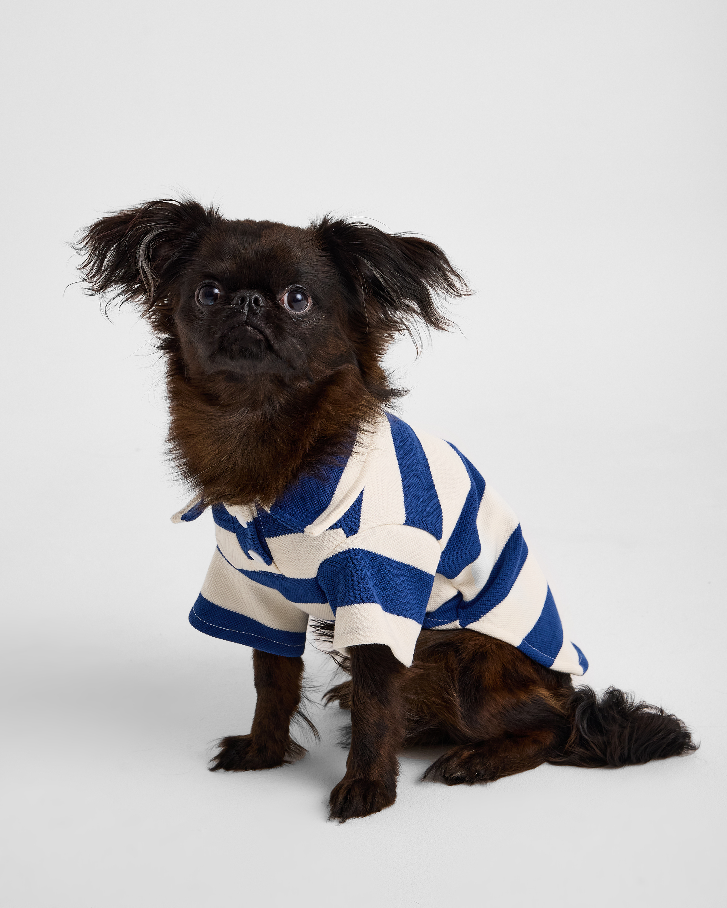 Поло для собак и кошек Зоозавр - фото 1