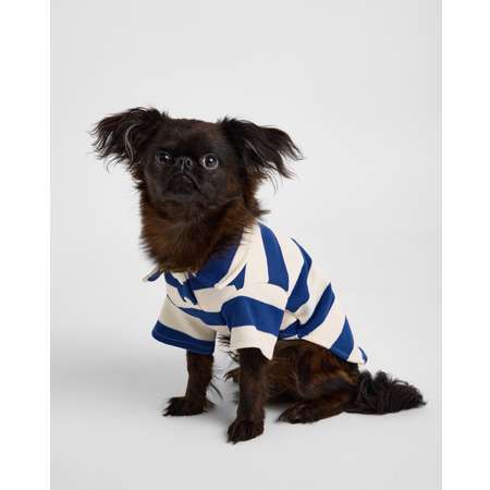 Поло для собак и кошек Зоозавр