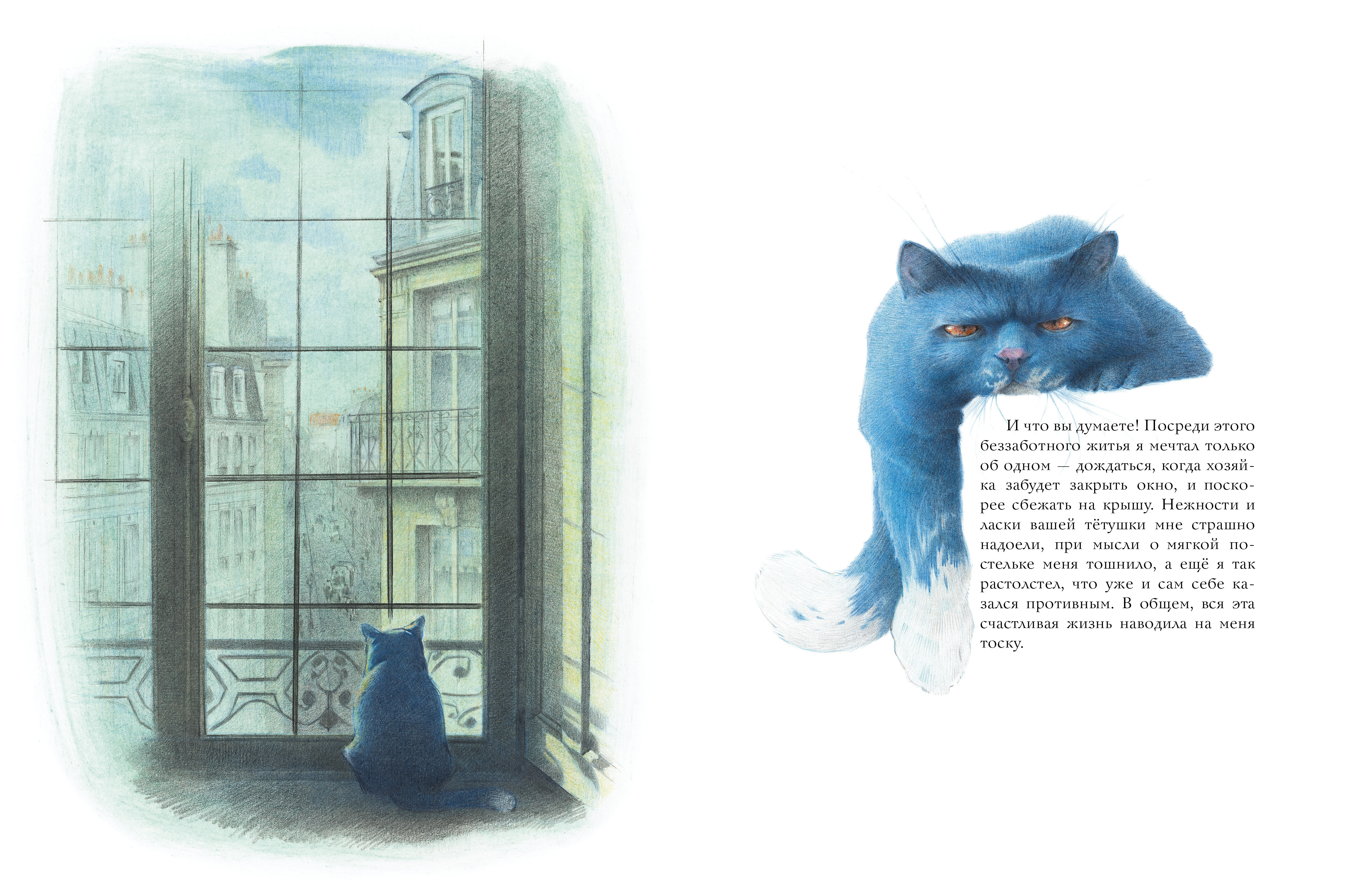 Книга АСТ Кошачий рай - фото 4