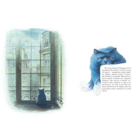 Книга АСТ Кошачий рай