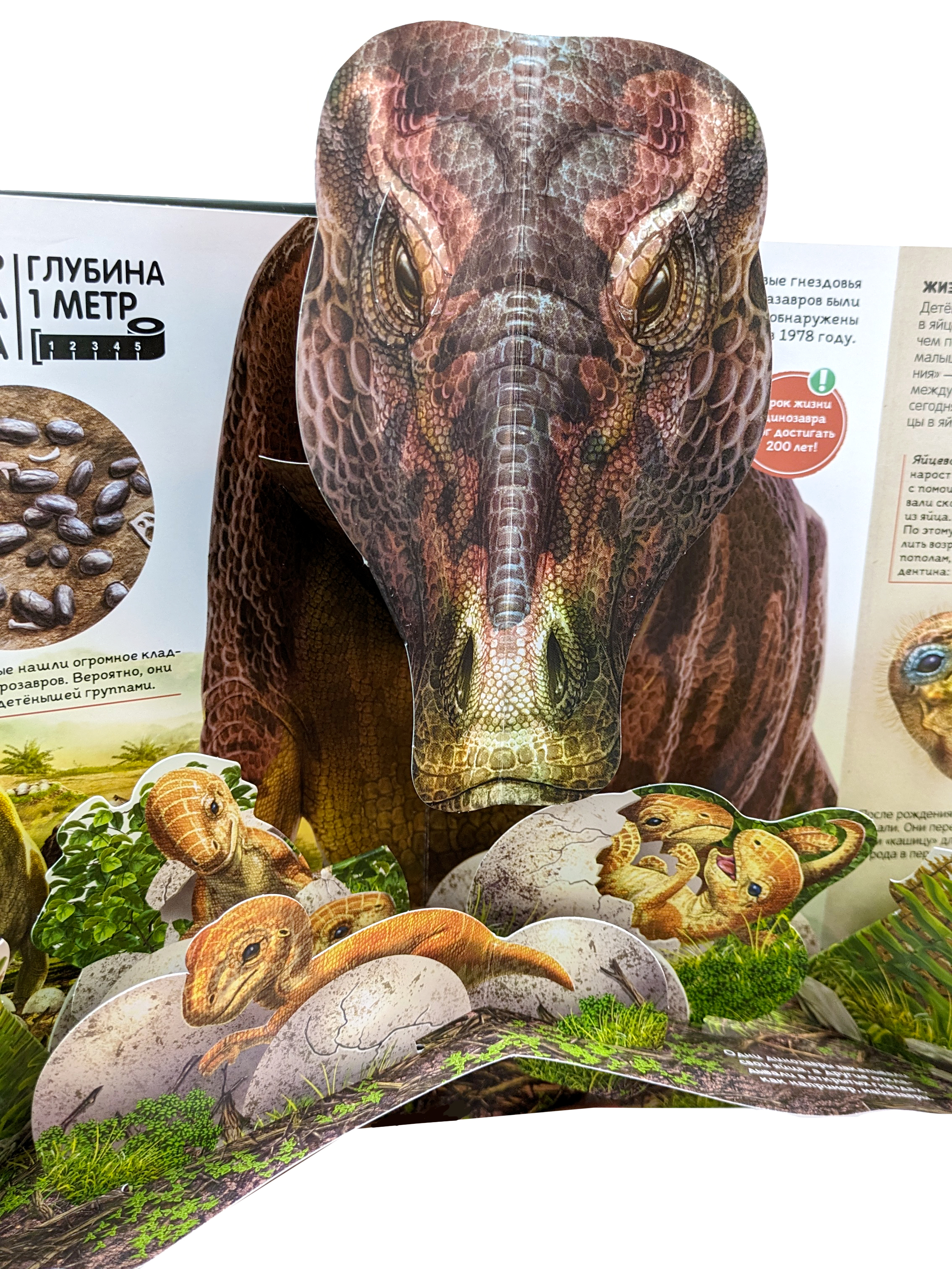 Интерактивная энциклопедия Malamalama Динозавры и Другие Доисторические Животные - фото 13