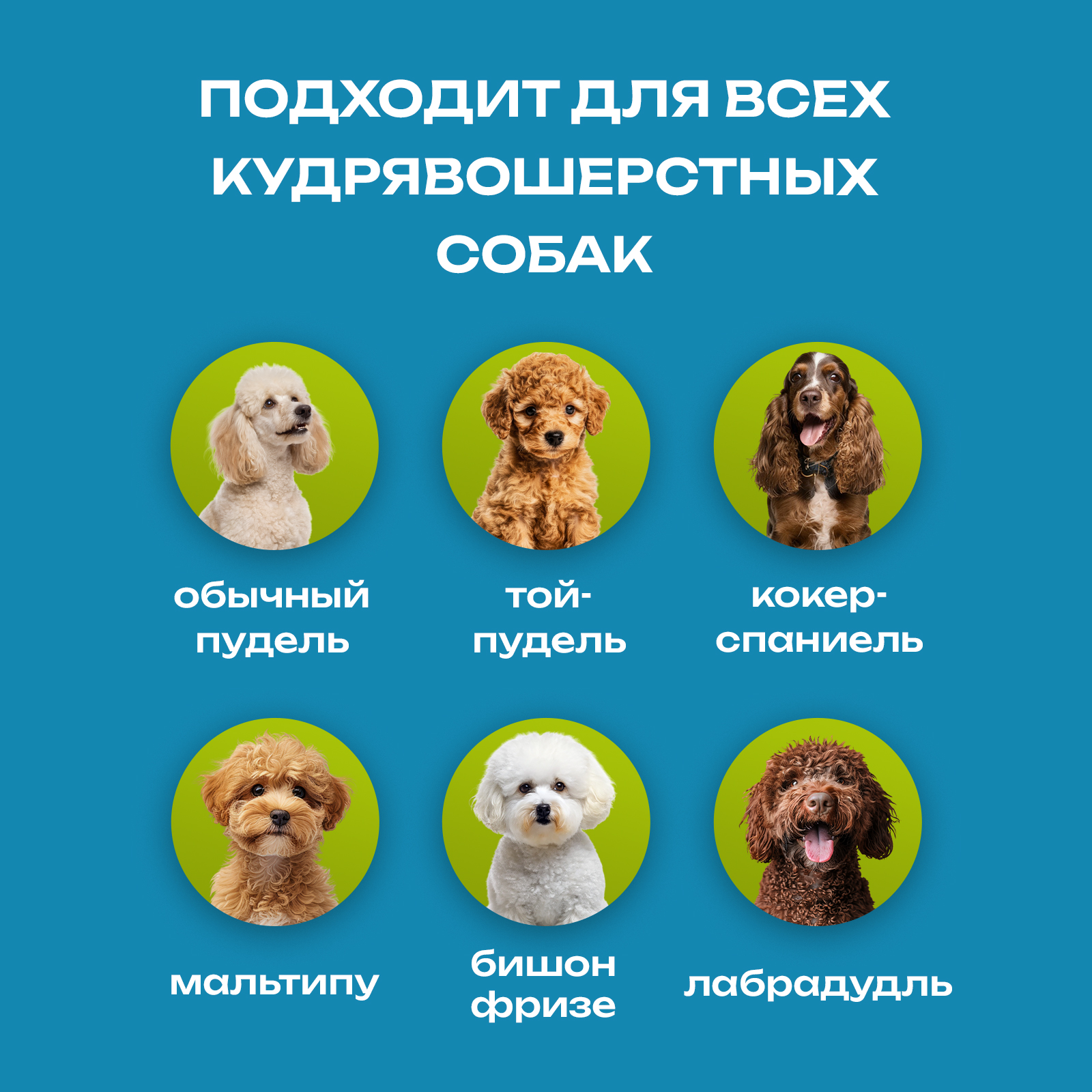 Шампунь кондиционер увлажняющий PETPOWER от колтунов для кудрявых собак 250 мл - фото 6