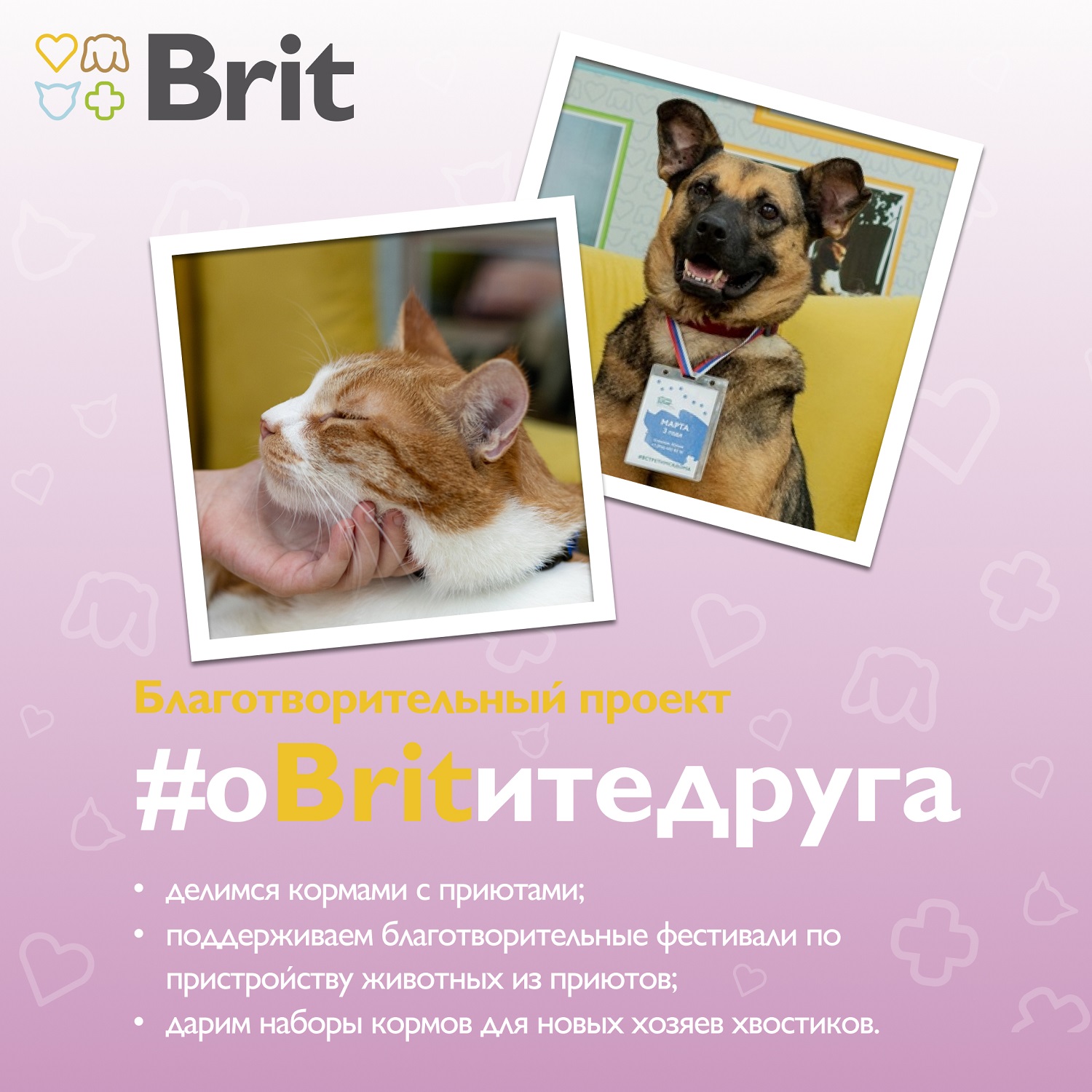Корм для котят Brit Premium 100г Starter Воздушный паштет - фото 8