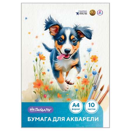 Художественная бумага ПАНДАРОГ для акварели 10 лист.