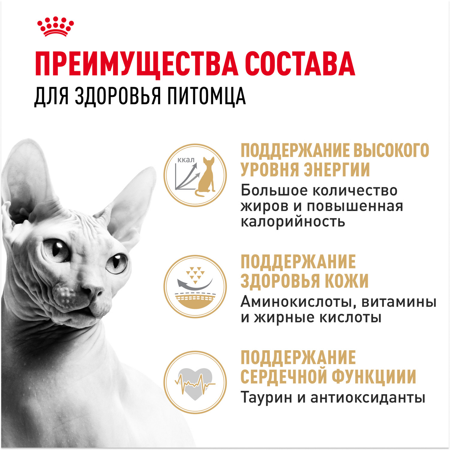 Корм сухой для кошек ROYAL CANIN Sphynx 10кг породы сфинк - фото 3