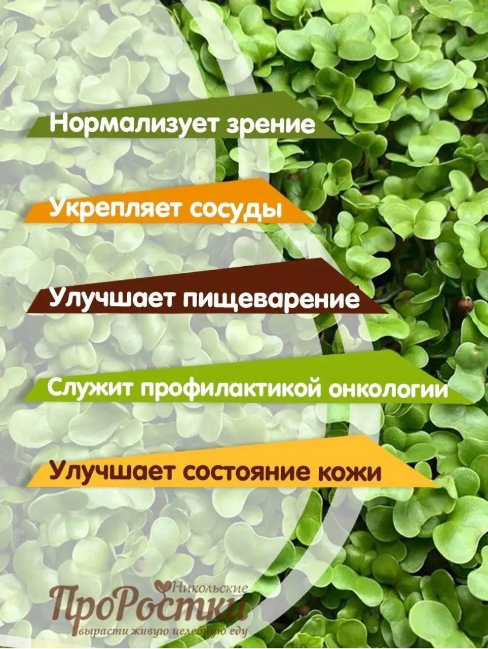 Семена для микрозелени MegaMedia брокколи - фото 6