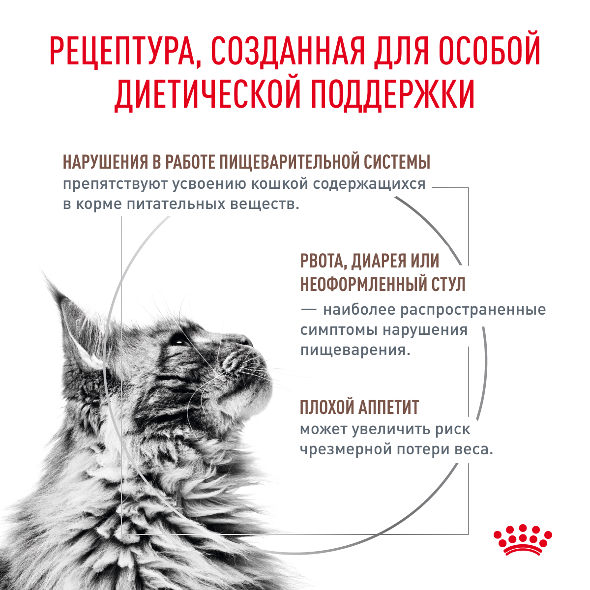 Корм для кошек ROYAL CANIN Gastro Intestinal GI-32 лечение ЖКТ 2кг - фото 3