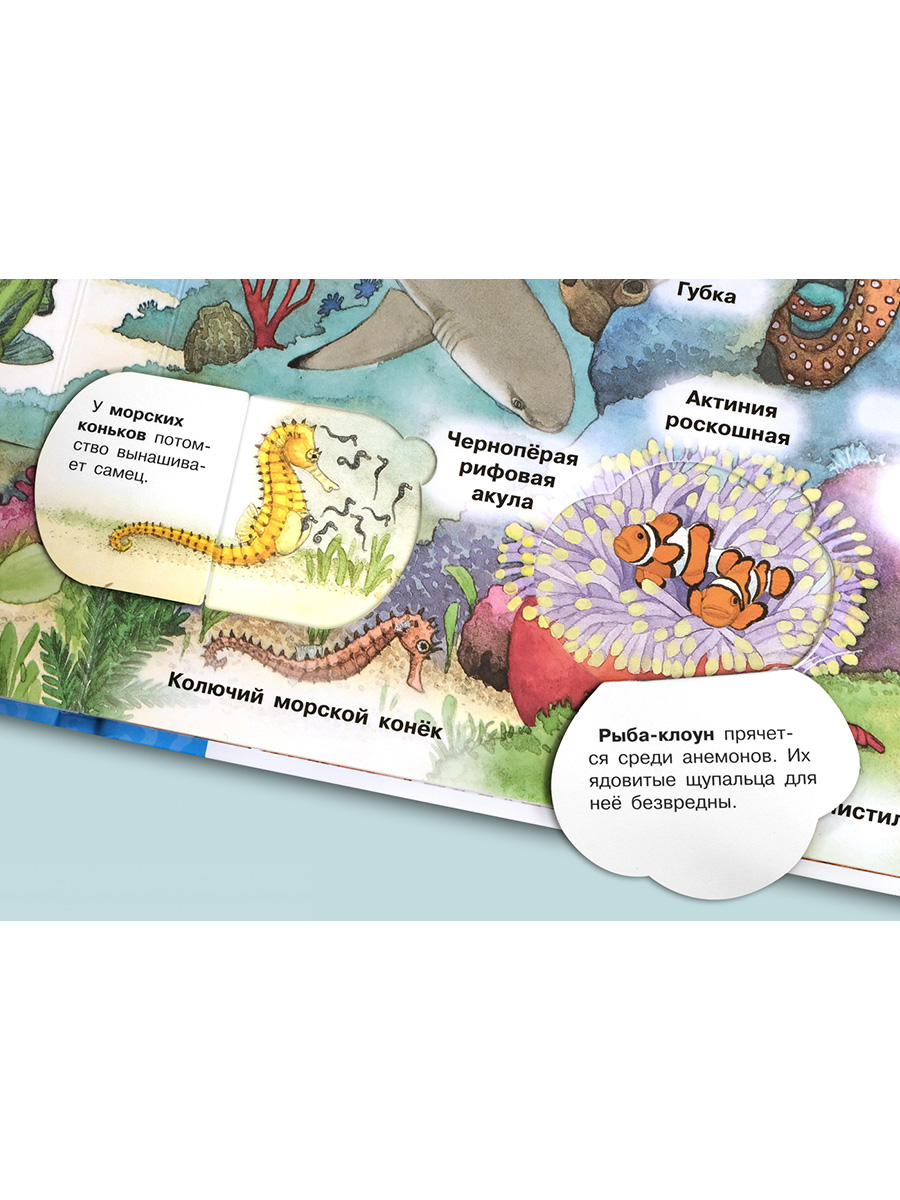 Книга Омега-Пресс Энциклопедия для детей с окошками Мир морских животных - фото 8