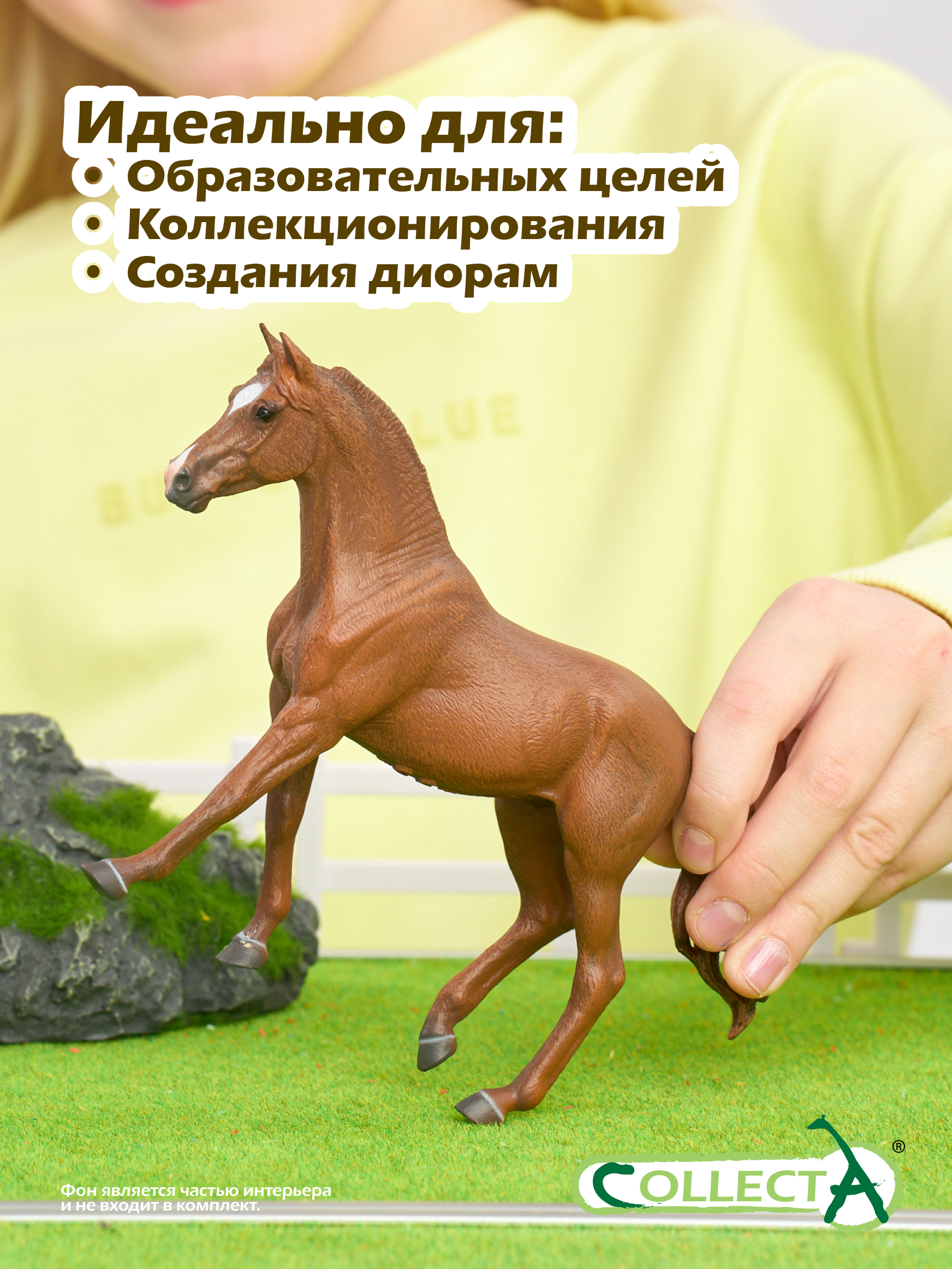 Фигурка Collecta Миссурийская кобыла - фото 6