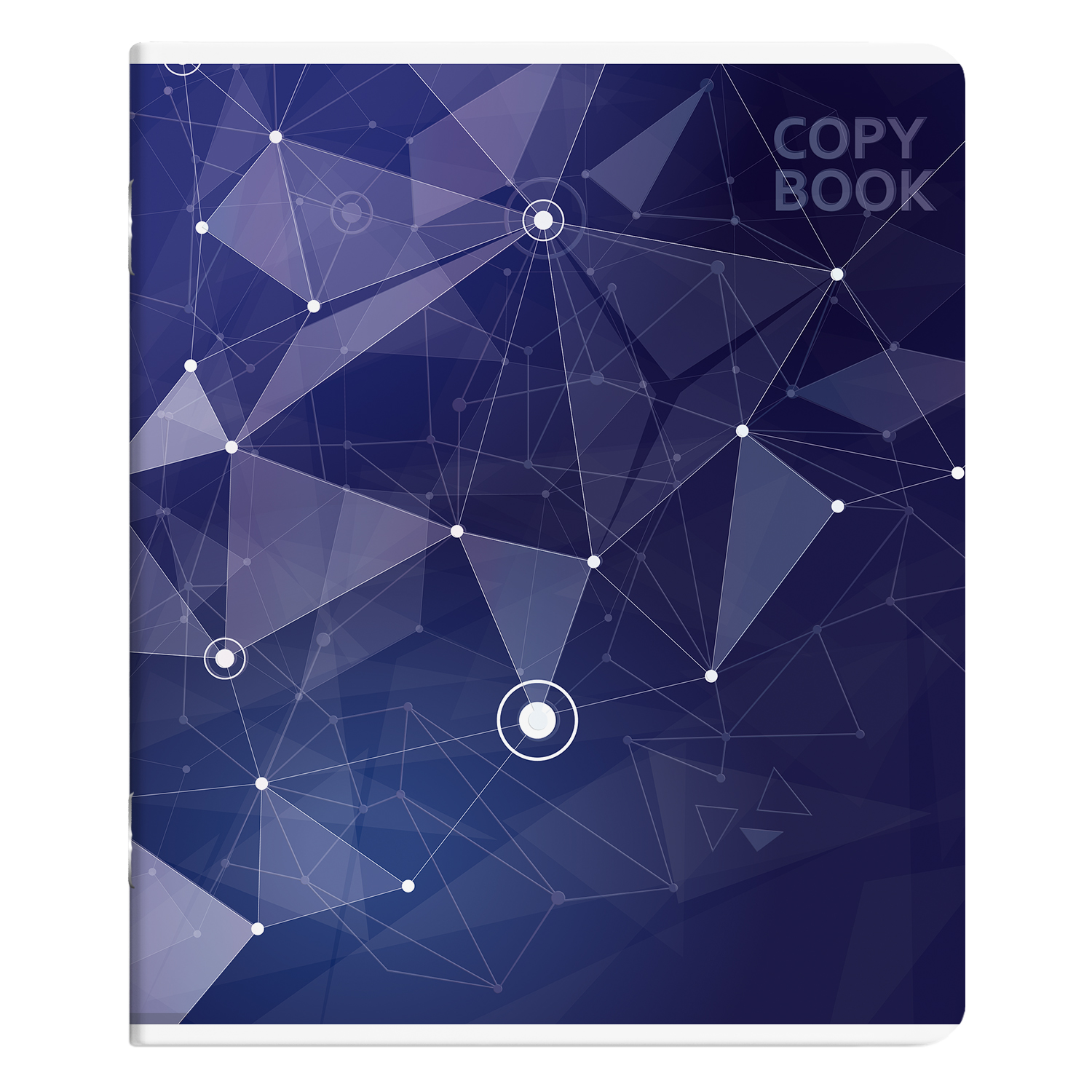 Общая тетрадь Erhaft клетка 96 лист. в ассортименте - фото 2