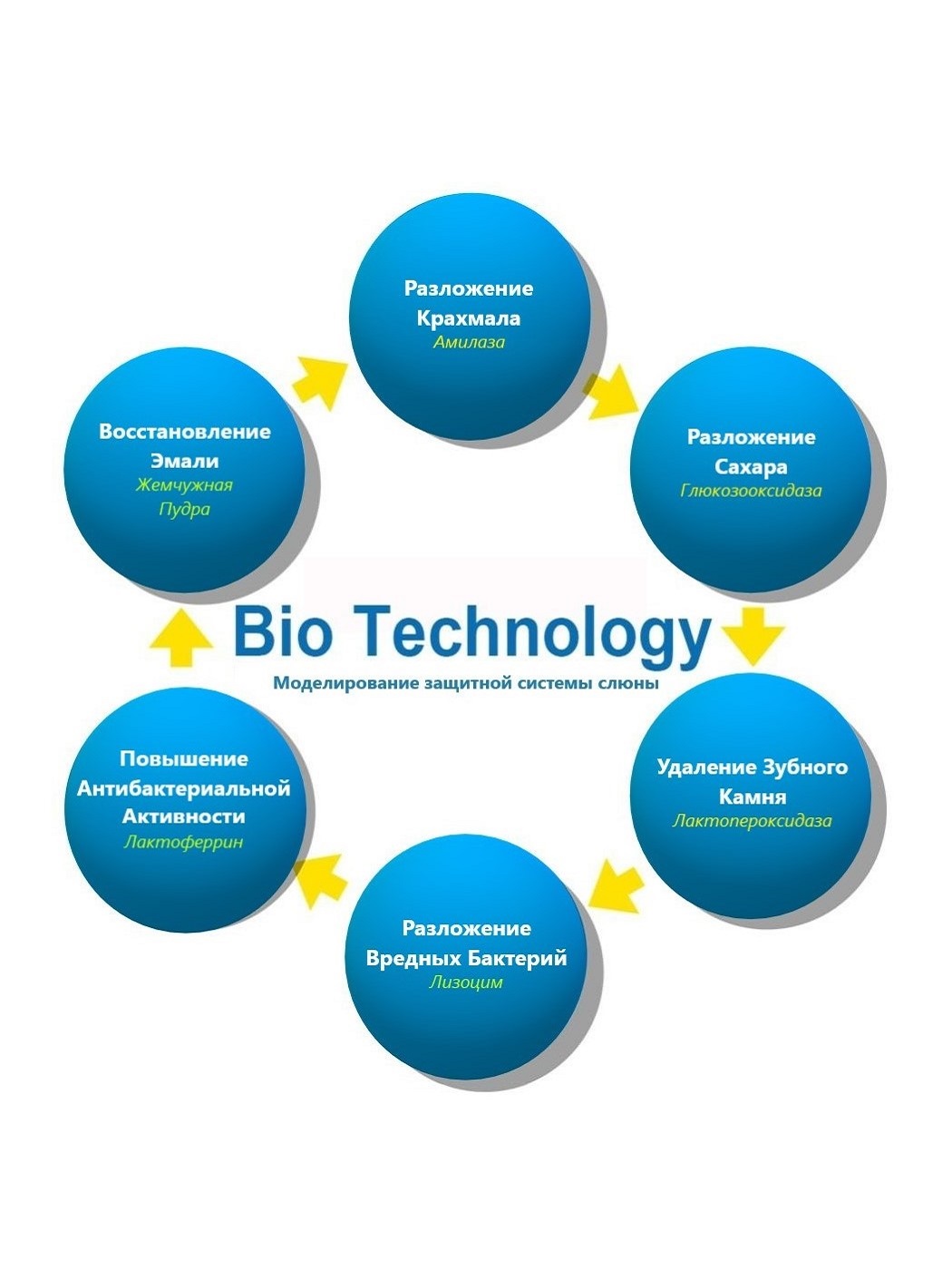 Зубная паста INTELLIGENT с фтором Клубника 50 г - фото 4