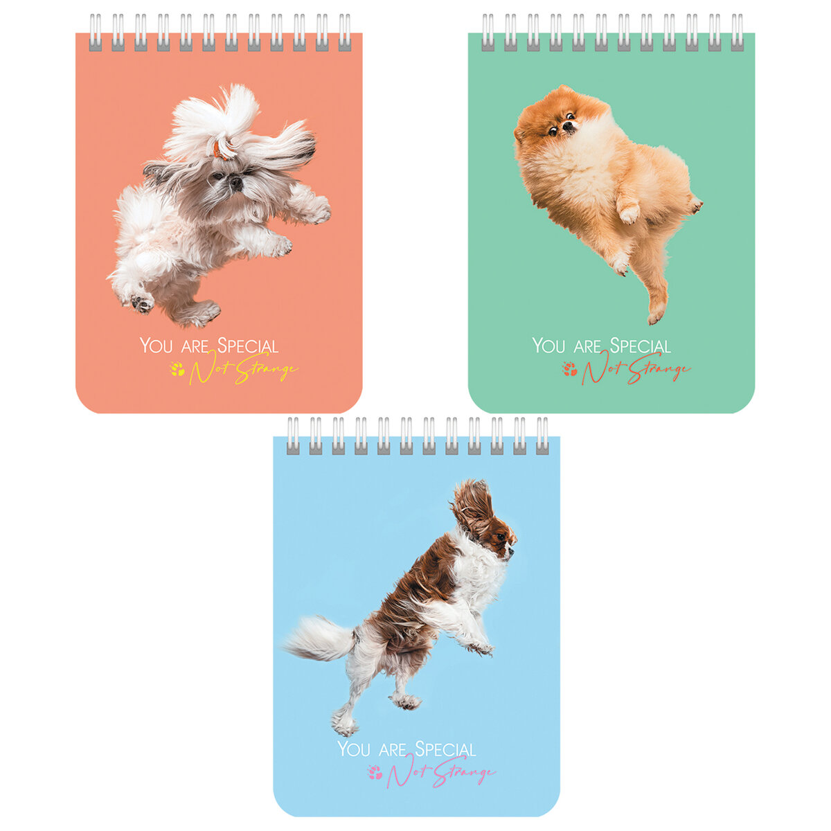 Блокнот Brauberg 40 лист. в ассортименте - фото 1