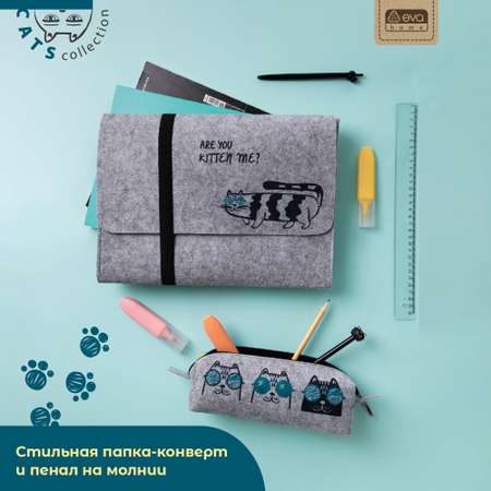 Набор канцелярский EVA Cats 2 предм.