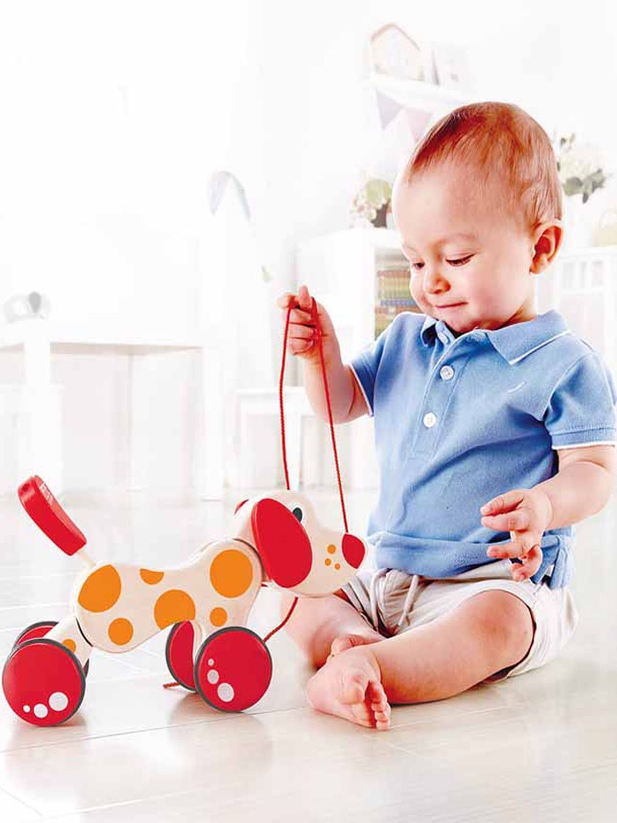 Игрушка Hape каталка Собачка - фото 1