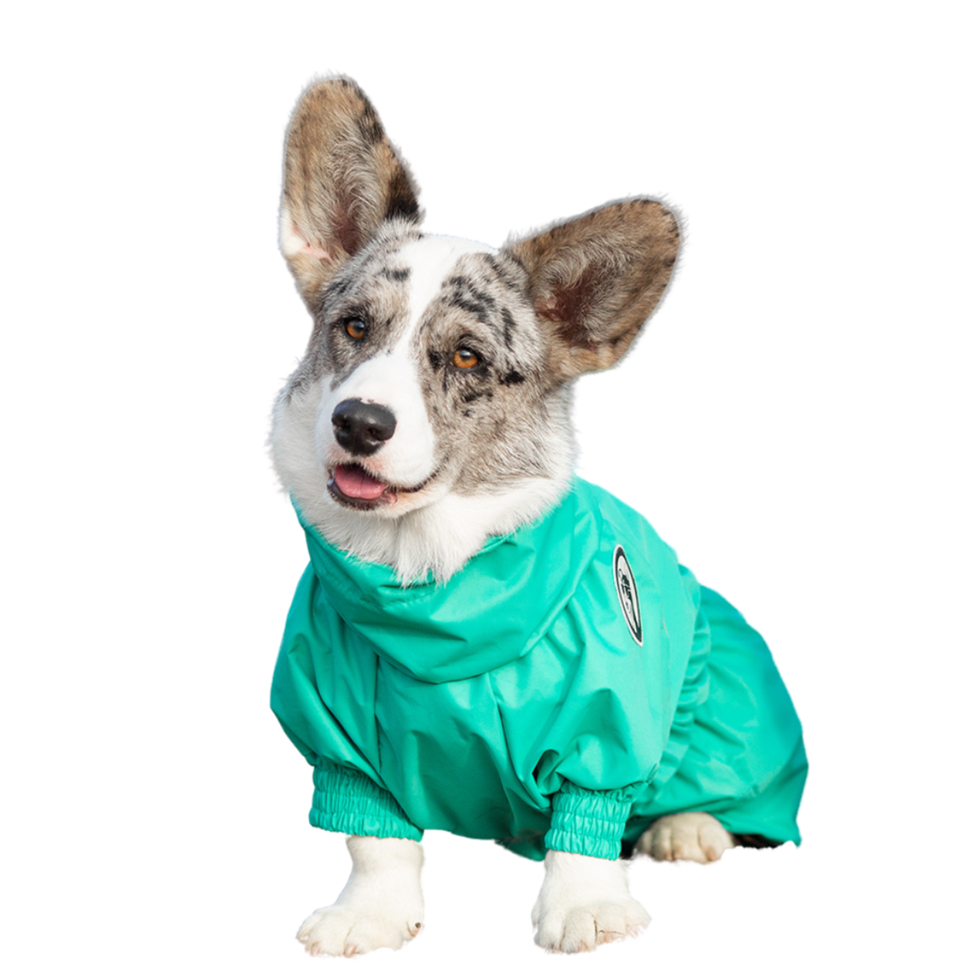 Комбинезон-дождевик Rain Dog - фото 1