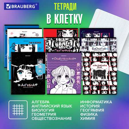 Тетрадь Brauberg 48 лист. 12 шт.
