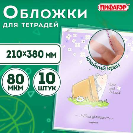 Обложка Пифагор 10 шт.