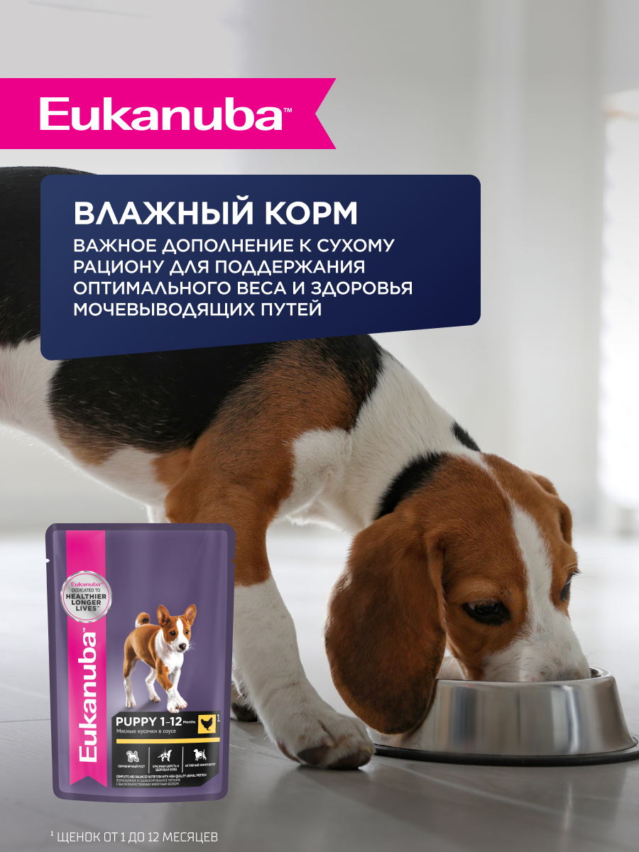 Корм для щенков Eukanuba с ягненком сухой 3кг - фото 7