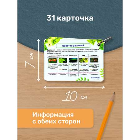 Карточки Выручалкин Окружающий мир 1-4 класс