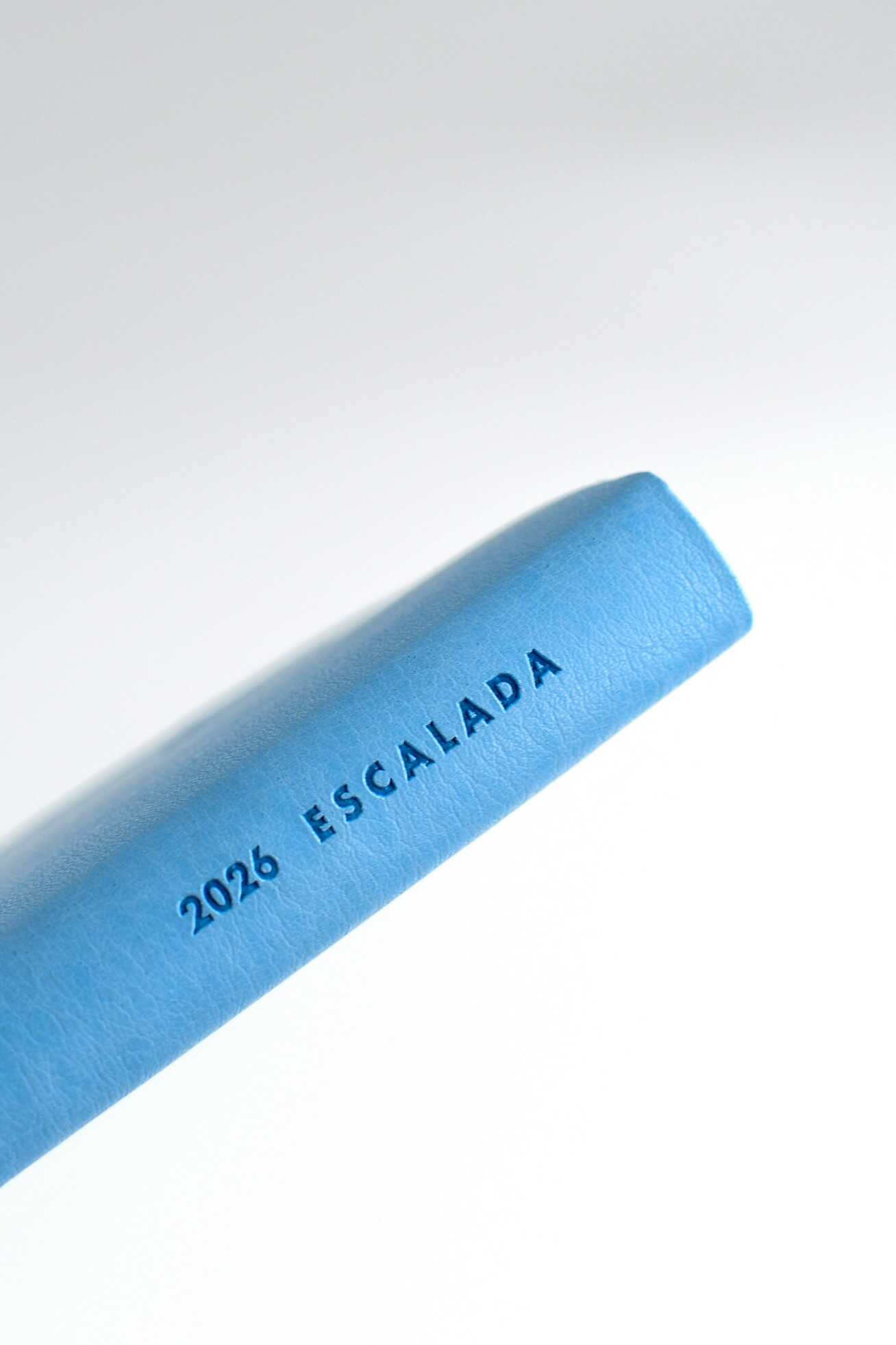 Ежедневник Феникс + ESCALADA 176 лист. - фото 6